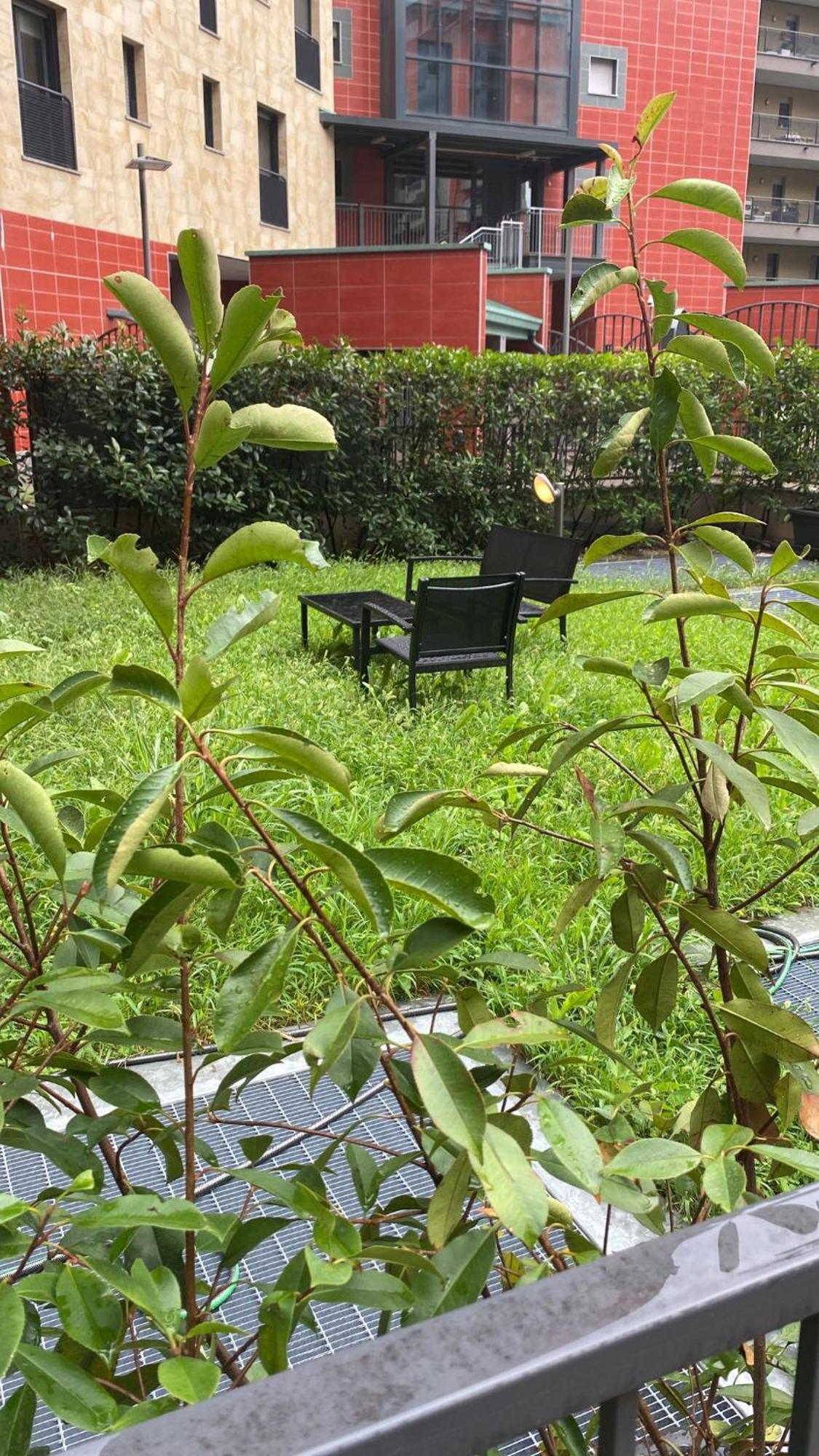 Cos54 - Exclusive Apartment With Garden In Milán Exterior foto